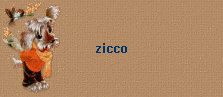 zicco